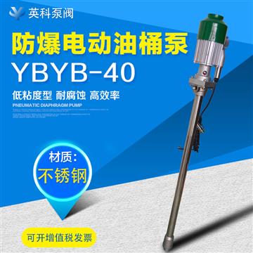 手提式電動(dòng)抽液泵